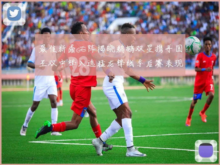 最佳新秀二阵揭晓鹈鹕双星携手国王双中锋入选猛龙锋线季后赛表现抢眼